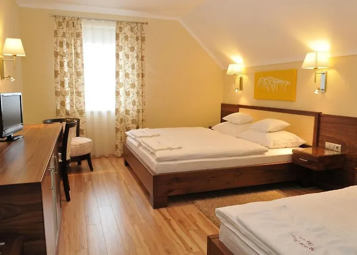 Motel Mizse