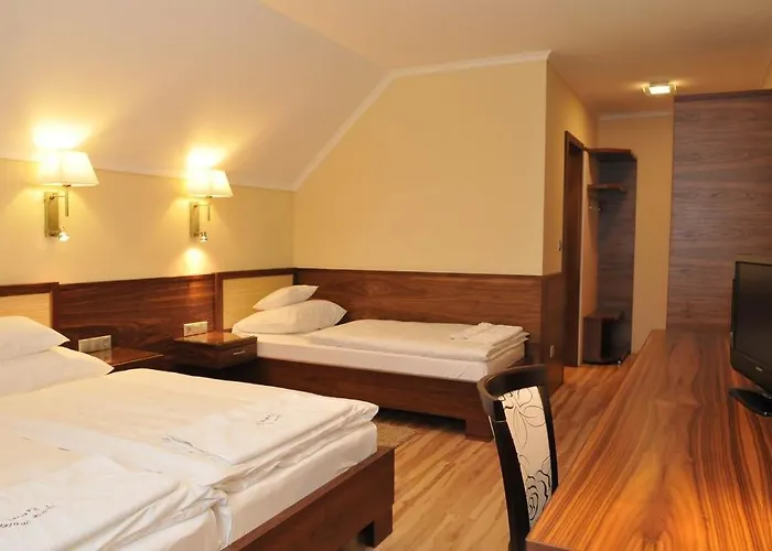 Motel Mizse 2*
